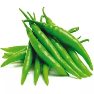Green Chili / কাঁচা মরিচ