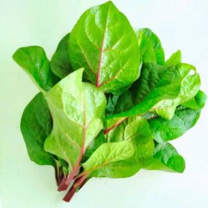 পুঁইশাক (Malabar Spinach)