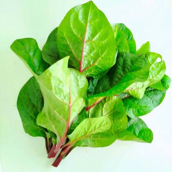 পুঁইশাক (Malabar Spinach)