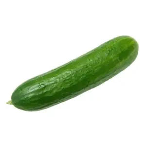 Cucumber / শশা